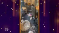 Frustratie bij de Frogers na vernieling huis