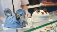 Patisserie maakt speciale gebakjes om koala's te verwelkomen