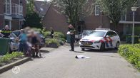 Aangereden hond bijt helpende vrouw na ongeluk in Weert