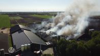Honderden varkens dood door brand in schuur Mussel
