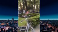 Sint Willebrord schrikt op van mishandeling man (73) in park