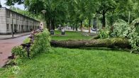 In meerdere plaatsen schade door noodweer