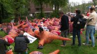 Dino's in kostuum vallen 'dood' neer tegen natuurbeleid regering