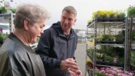 Komen Teun en Ap er samen uit bij het tuincentrum?