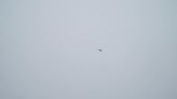 Start van de vlucht van Merel en Noa