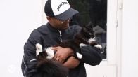 Brandweer redt poes uit een dakgoot