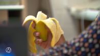 Einde dreigt voor gratis schoolmaaltijden: scholen en hulporganisaties luiden noodklokv