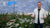 Weerbericht 8 juni 2024