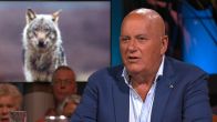 Jack van Gelder noemt oplossing voor geslachte schapen: ‘Afknallen die wolven!'