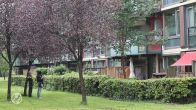 Hulpdiensten rukken uit voor verwarde vrouw in woning Maassluis
