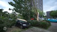 Harde wind laat bomen omver waaien op auto's in Eindhoven