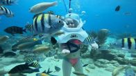 Dory en Nemo worden gespot!