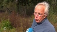 Drie wolven doodgereden bij Otterlo: politie onderzoekt mogelijke opzet