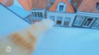 YouTube-kat Ros uit Deventer is wereldberoemd met miljoenen fans