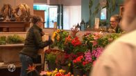 Bloemenban in Zutphen raakt bloemisten: 'Kom nu over alsof we de hele wereld vervuilen'