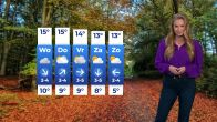 Verwacht een sombere dag: grijs en druilerig weer op komst