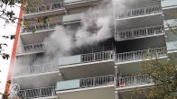 Kat Garfield gered bij grote woningbrand in flat Maassluis