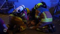 Hond en katten overleden bij brand in Rotterdam, woning verwoest