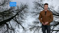 Winterjas uit de kast: grijs en kil novemberweer op komst