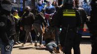 Honderden pro-Palestijnse demonstranten op de Dam ondanks verbod