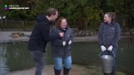 Anoeska's grootste wens komt uit in De Beste Wensen: pinguïns voeren!