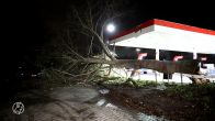 Storm Conall: boom waait op tankstation in Vijfhuizen