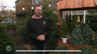 Kerstgekte begint steeds eerder: 'Er is zo veel ellende, mensen zijn blij dat het hier kan'