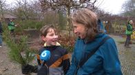'Tweedehands' kerstbomen: voor een kerstsfeer zonder schuldgevoel