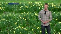 De zon is binnenkort weer te zien, maar komt gepaard met regen en wind