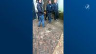 ZIEN: Parachutist belandt per ongeluk in apenverblijf Ouwehands Dierenpark
