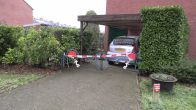 Bewoner Hengelo vindt wolf in schuurtje, midden in woonwijk
