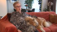 Hondje Zivah schrok van vuurwerk en was dagenlang vermist