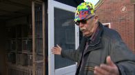 Tinus (76) ontroostbaar: waar zijn al zijn duiven heen?