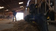 Boerderij moet per direct stoppen door gemeente, 200 jaar geschiedenis eindigt abrupt