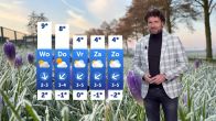 Zon breekt door na grijs begin van de dag