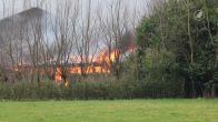 Dertig koeien dood bij stalbrand in Kockengen
