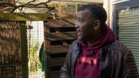 Steden krijgen steeds meer last van ratten, Rotterdam bedenkt deze oplossing