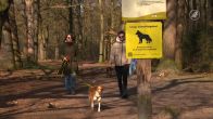 Honden aan de lijn op Utrechtse Heuvelrug: 'Waardeloos'