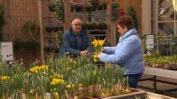 Nederland verdeeld: tuinieren is óf een hobby, óf een last