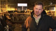 Ambachtelijke kaas buitgemaakt bij nachtelijke inbraak in Knegsel