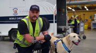 Border Security: Dog Patrol