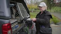 Border Security: Dog Patrol