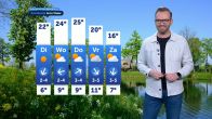 Stralend weer, maar ook veel pollen: pas op voor verbranden
