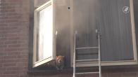 Brandweer haalt moeder, kind en zeven katten uit brandende woning