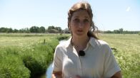 Hart van Nederland legt uit: waarom vormen muggen een steeds groter gevaar voor de mens?