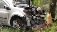 Vrouw (83) overleden na botsing tegen boom in Lierop