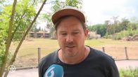 Hélène Hendriks overspoeld met kaartjes na operatie