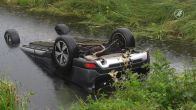 Hond overleden bij ongeval met auto in Wittelte