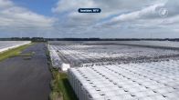 Grote tomatenkas in Middenmeer stort in: oorzaak nog een raadsel