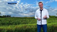 Het weerbericht van vrijdag 18 juli 2025